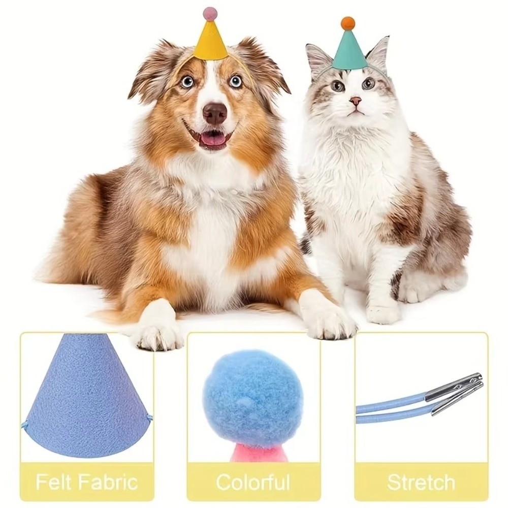 مجموعة مكونة من 6 قطع من قبعات - مراجعة Party Hat Cone وسعره